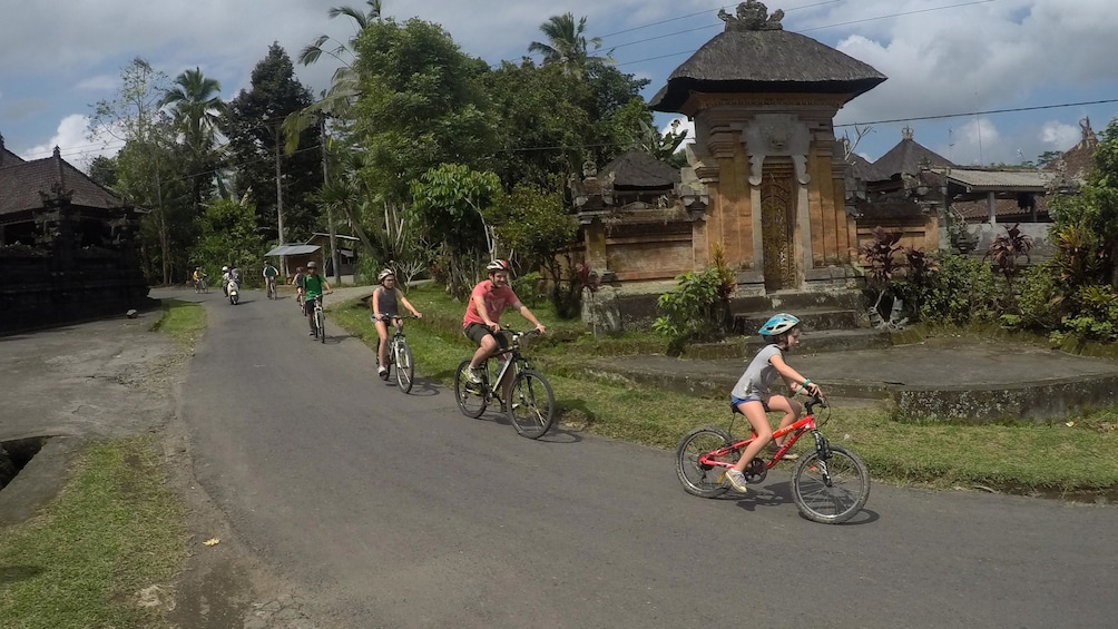 Show item 1 of 8. Kintamani Cycling Tour Bali