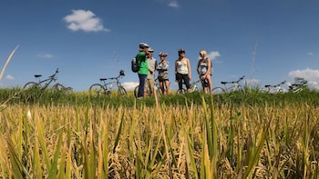 Kintamani Cycling Tour Bali