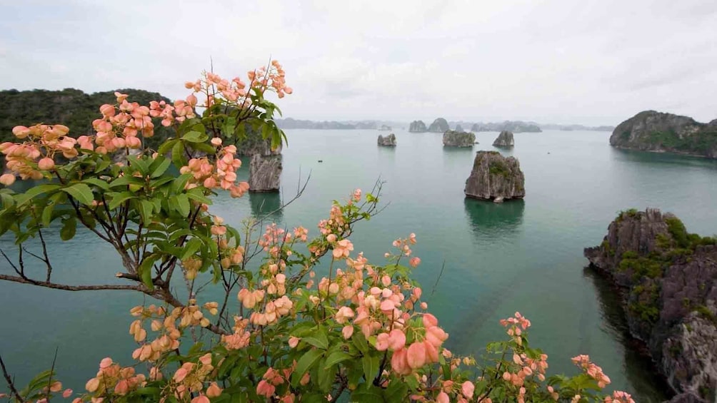 3-day Halong Bay - Bai Tu Long Bay Deluxe Junk Cruise