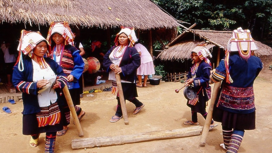 Doi Mae Salong & Akha Hilltribe Village Tour