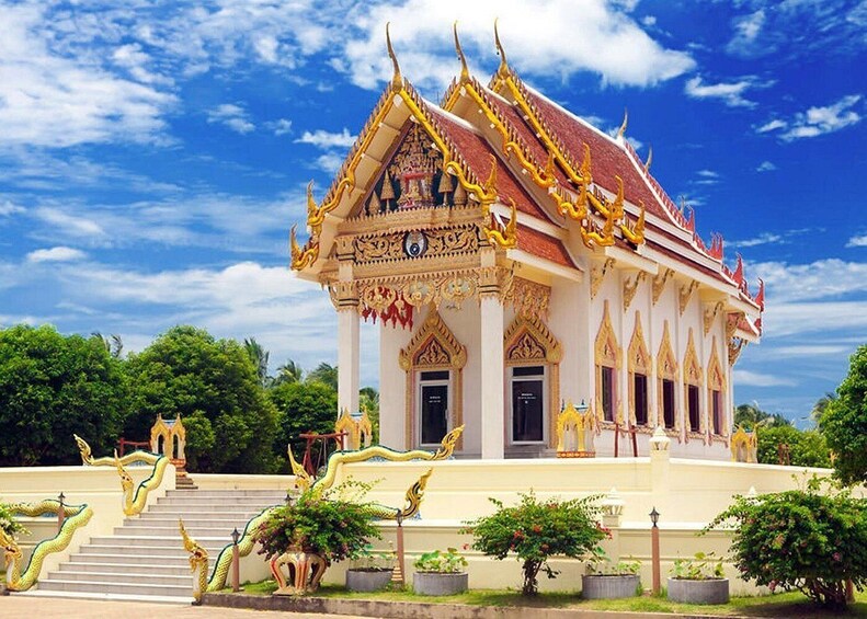 Private Customized Koh Samui Tour With Driver