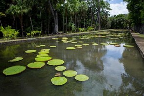 Beauty of Mauritius F/D private tour including lunch