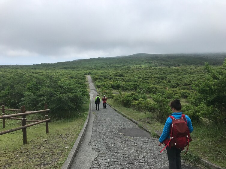 2 Day Tokyo Volcanic Island Tour