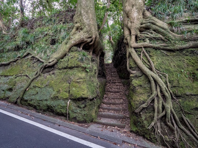 2 Day Tokyo Volcanic Island Tour