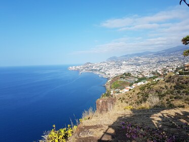 Privat Madeira halvdagstur i det sydlige centrum