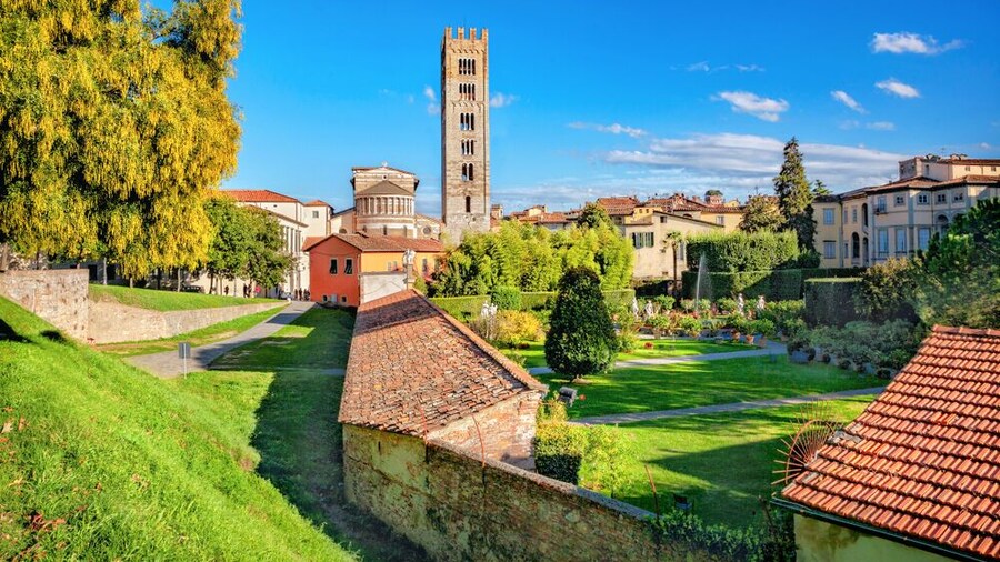 Pisa & Lucca with Buccellato tasting from Florence