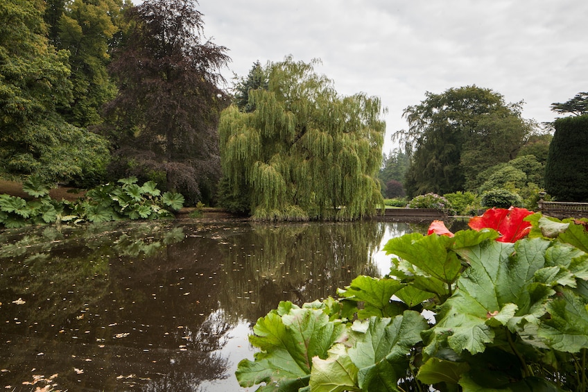 Hillsborough Castle and Gardens - Gardens only