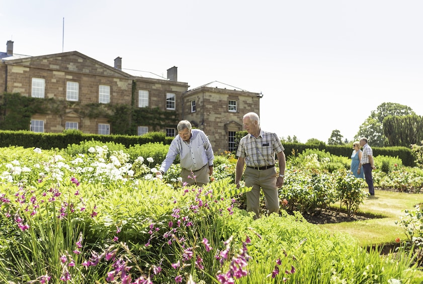 Hillsborough Castle and Gardens - Gardens only