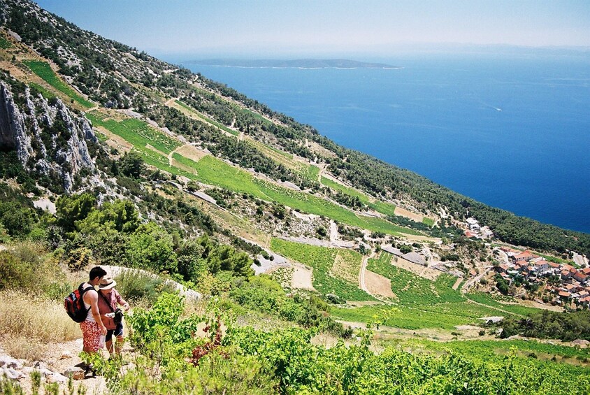 Show item 4 of 11. Full-Day wine tour of Hvar Island