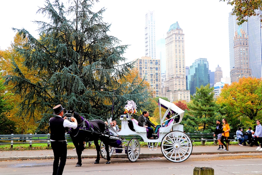 Standard Central Park Horse Carriage Ride