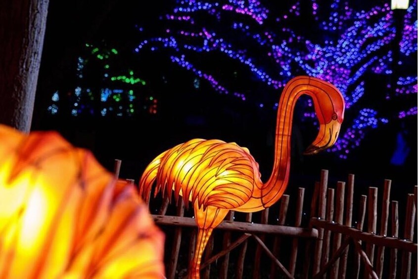 Zoo Lights Miami Package
