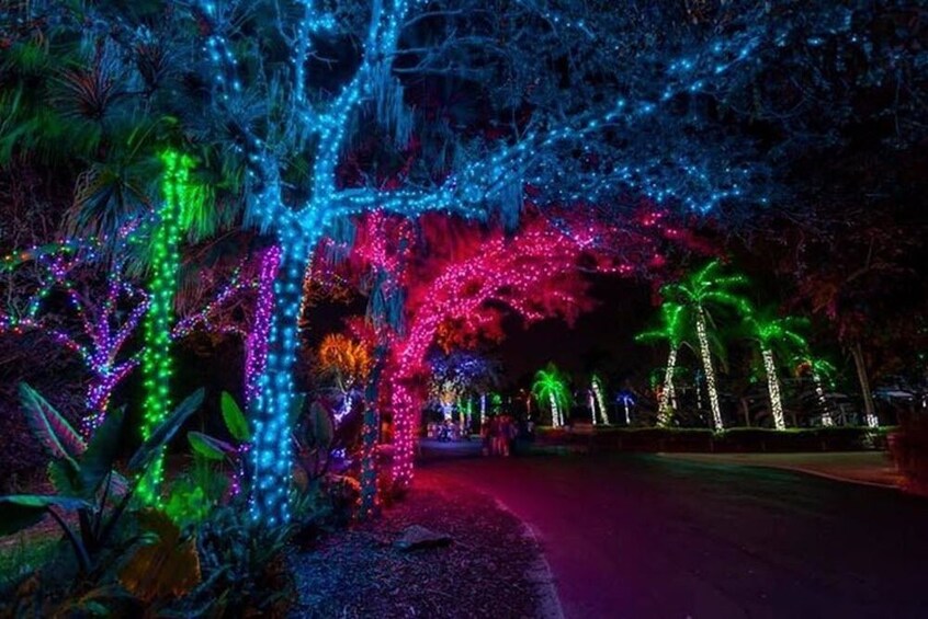 Zoo Lights Miami Package