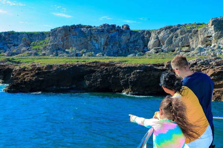 Family on board catamaran looks at the sights