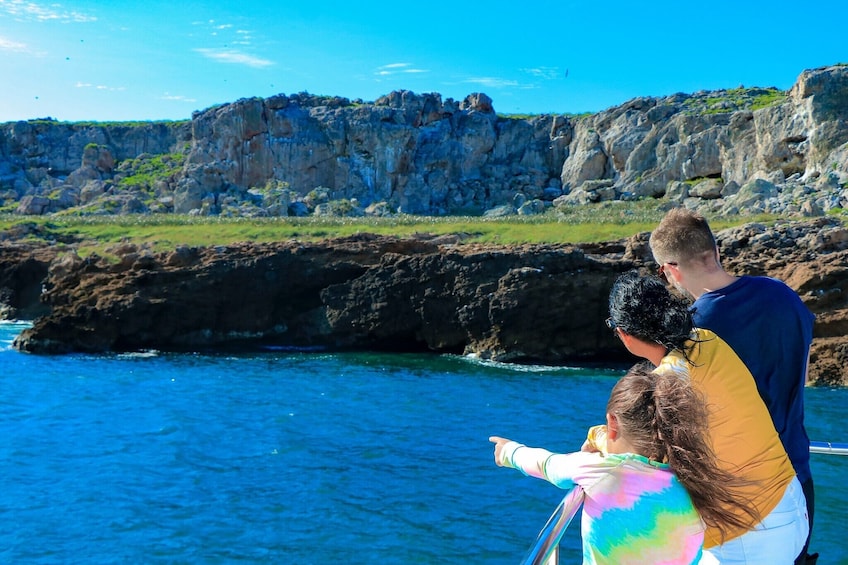 Family on board catamaran looks at the sights