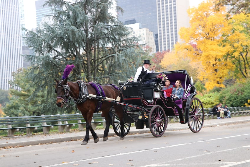 VIP Central Park Horse-Drawn Carriage Ride