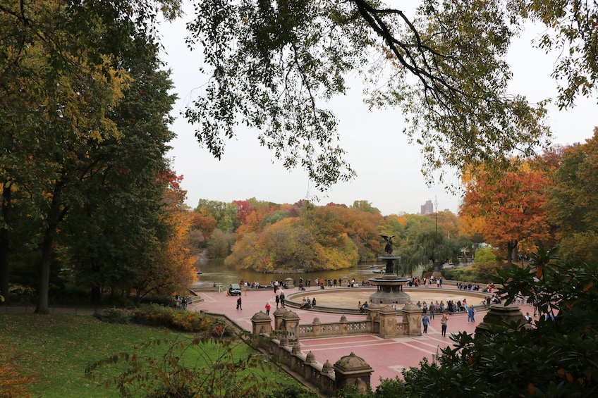 VIP Central Park Horse-Drawn Carriage Ride