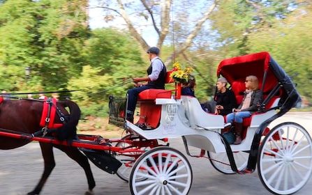 VIP rit met paardenkoets door Central Park