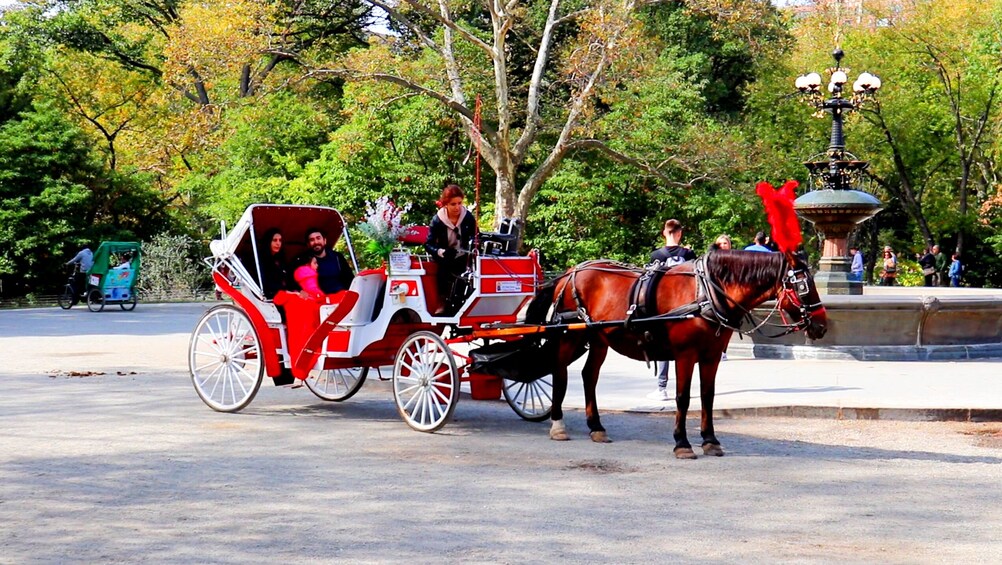 VIP Central Park Horse-Drawn Carriage Ride