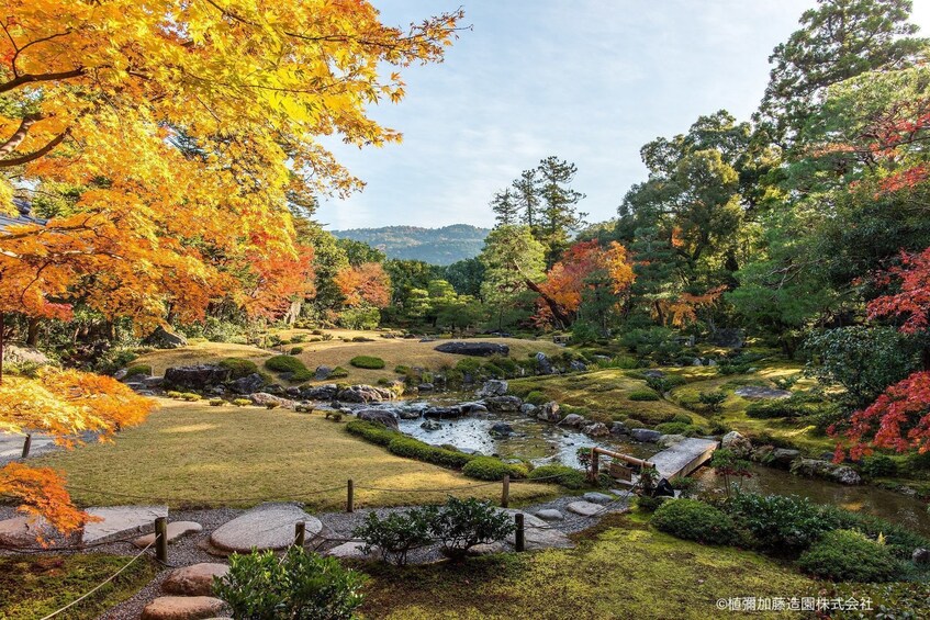 Colorful trees and green landscape in Kyoto