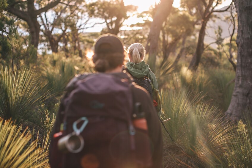 4-Day Freycinet Experience Walk