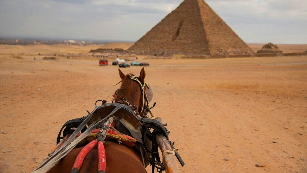 Private Camel Ride or Horse around the Pyramids