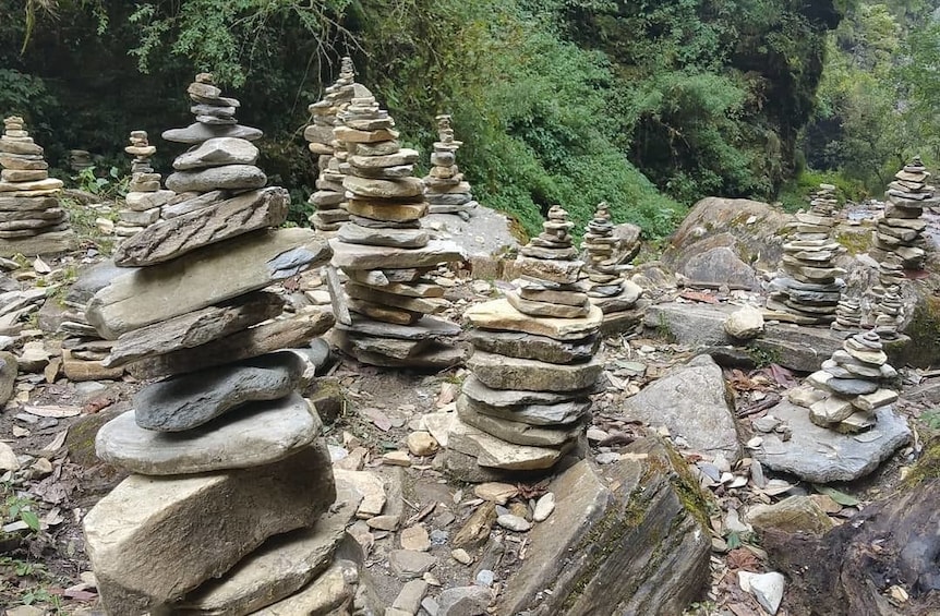 Annapurna base camp trek