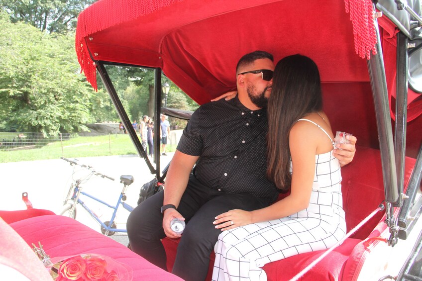 Romantic Proposal/Anniversary NYC Horse Carriage Ride
