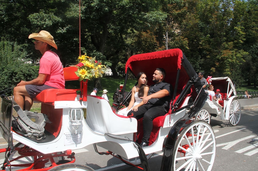 Romantic Proposal/Anniversary NYC Horse Carriage Ride