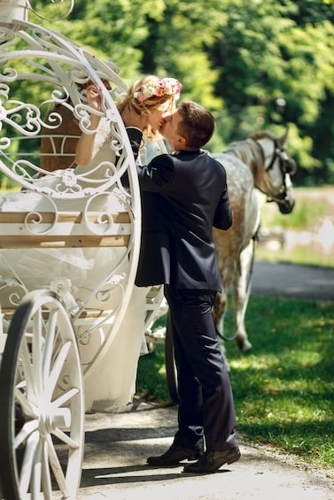 Romantic Proposal/Anniversary NYC Horse Carriage Ride