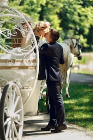 Romantisch aanzoek/verjaardag met paard en wagen in NYC