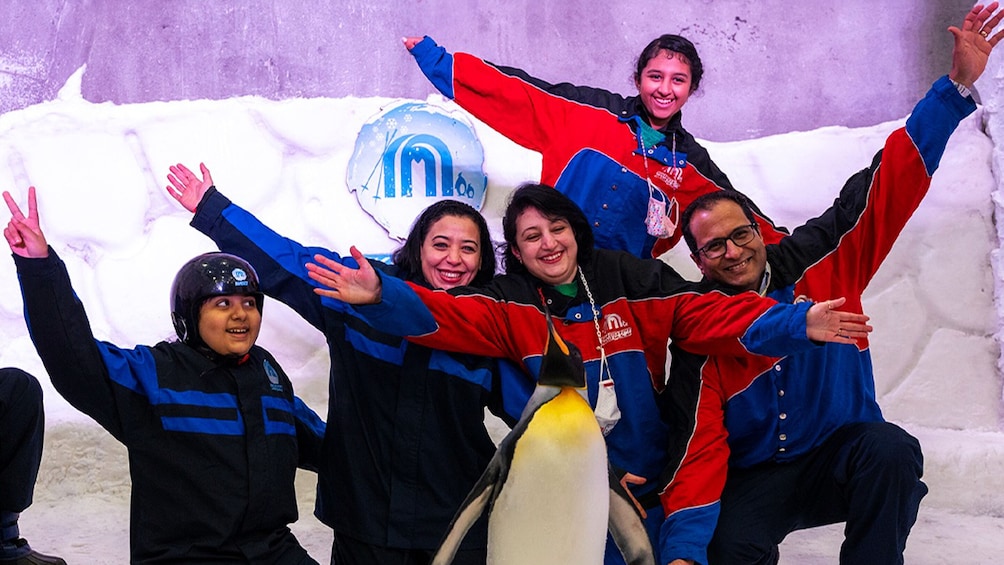 Frozen Fun in Cairo: Skiing, Snowboarding & Penguins.