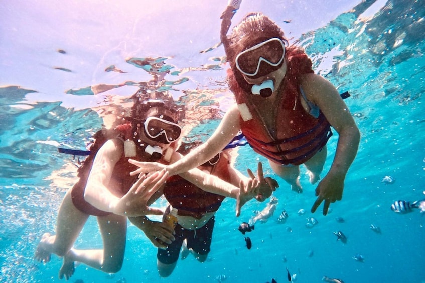 Discover Nha Trang Bay and Snorkeling Tour