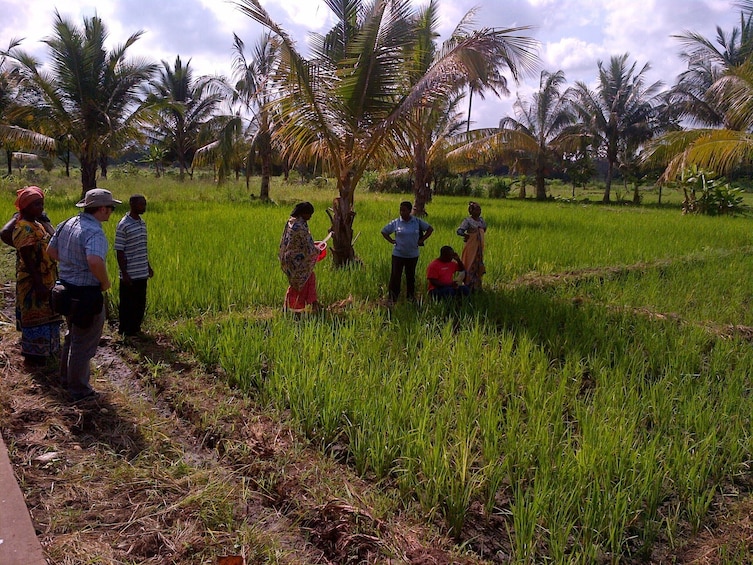  Private Tour - Having Breakfast At Green Farm