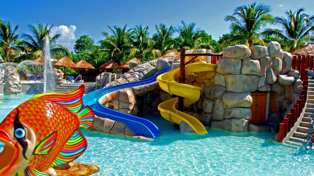 Skip-the-Line Splash Jungle Water Park Tickets & Transfers