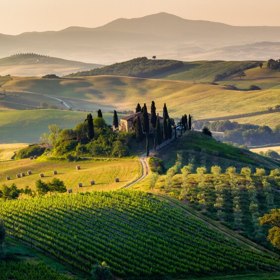 Tuscan countryside during sunset