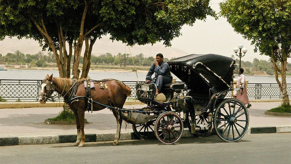 Horse and carriage in Luxor, Egypt with Nile in background