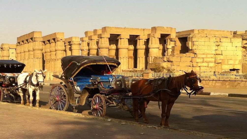 Carriage parked near columns at Luxor Temple in Egypt