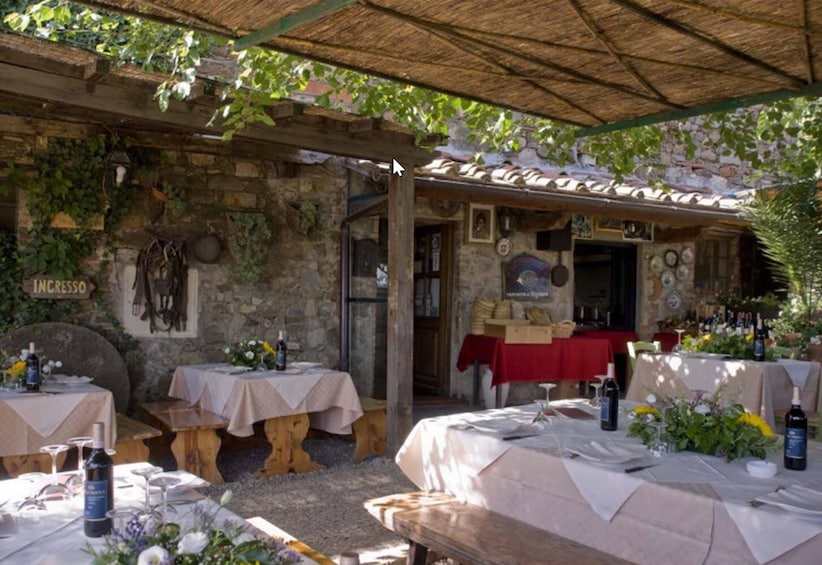 Chianti Wine and Food Safari