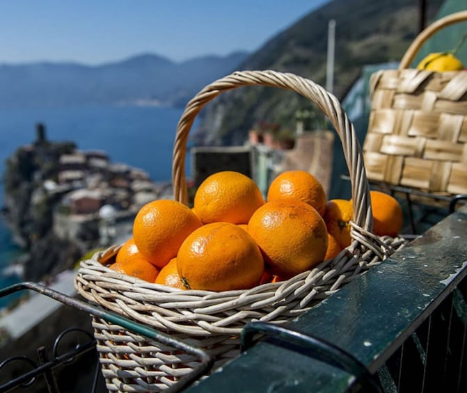 Cinque Terre Hiking Day Trip from Florence