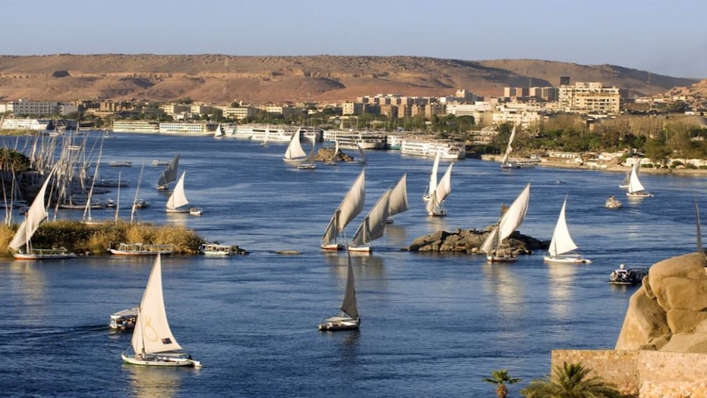 Many sailboats on the Nile during the day