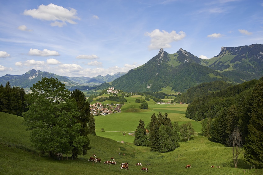 Panoramic day view of the Gruyère District
