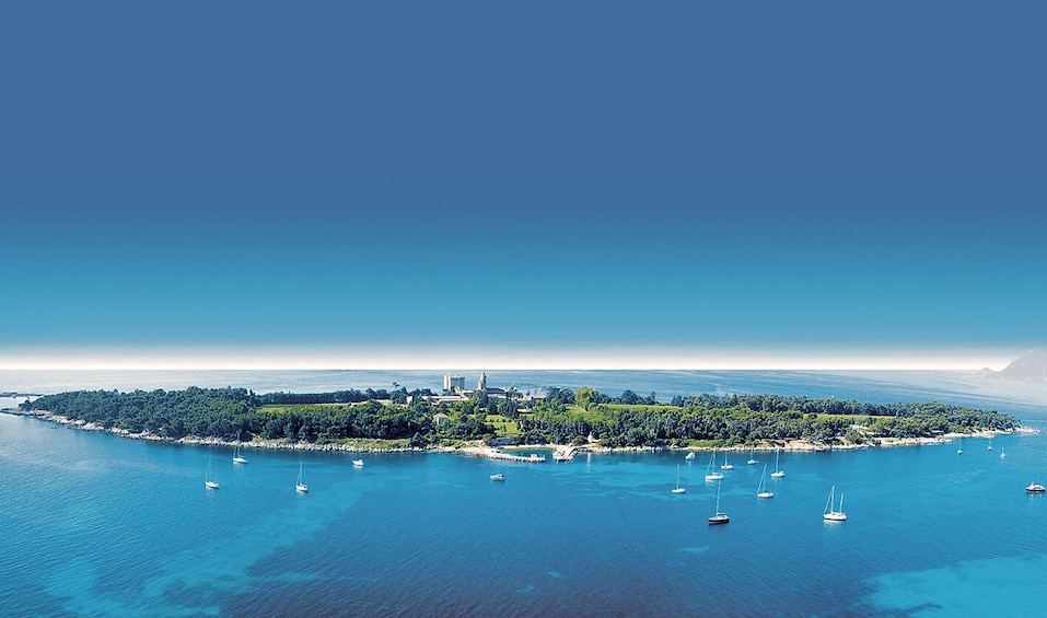 Half Day Tour: Cannes & Antibes 