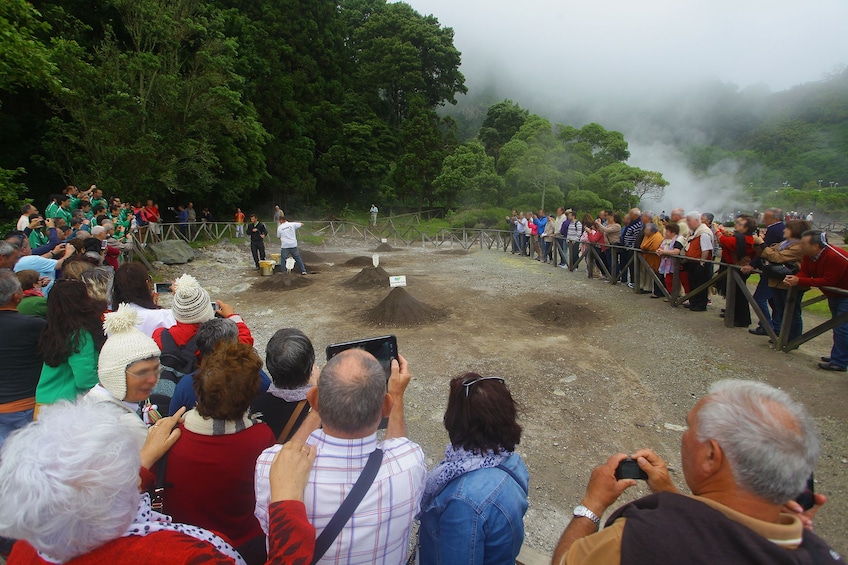 8 hour Private tour of São Miguel Island
