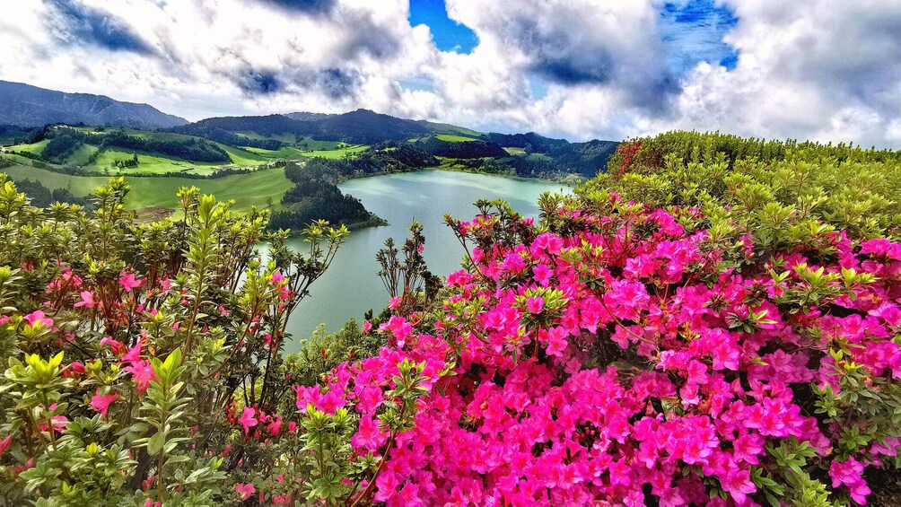 8 hour Private tour of São Miguel Island 