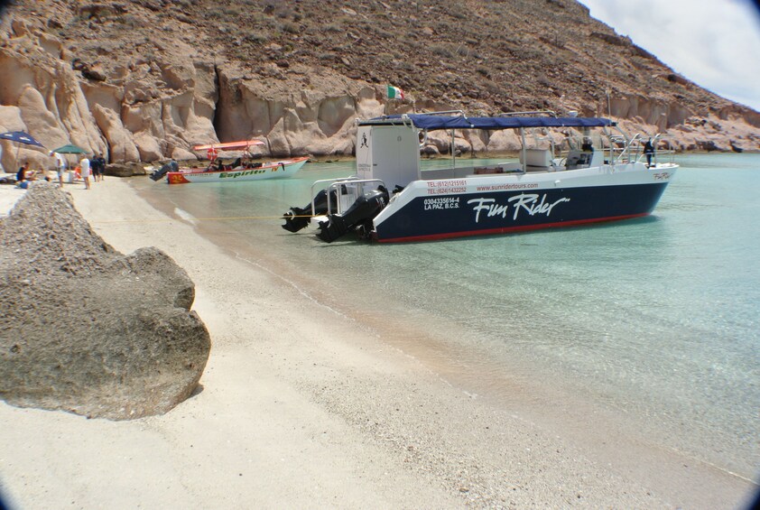 Catamaran tied up on Espiritu Santo Island