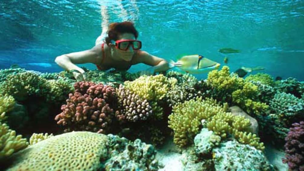 Woman snorkels near Giftun Island