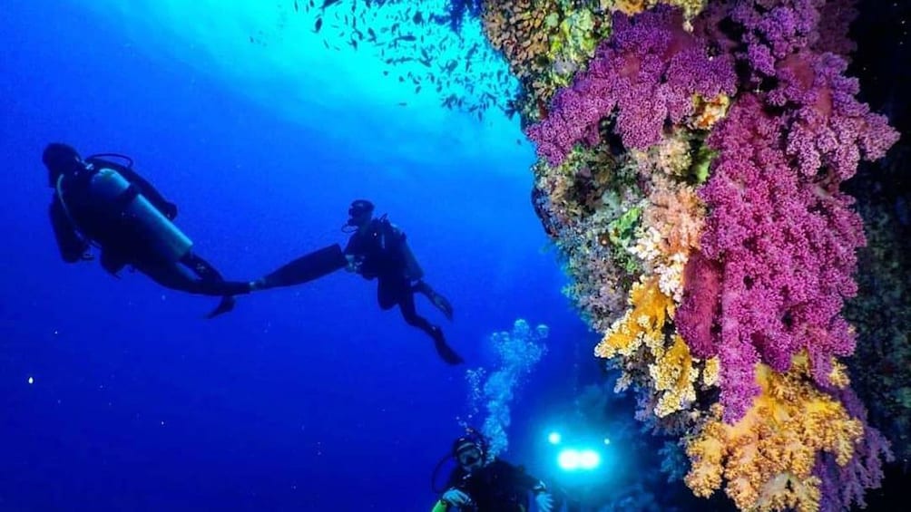 Two snorkelers in dark blue water near colorful reefs near Giftun Island