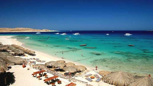 Schnorcheln auf der Insel Mahmya von Hurghada aus