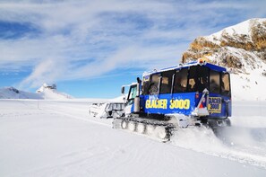 Glacier 3000 & Montreux Exclusive