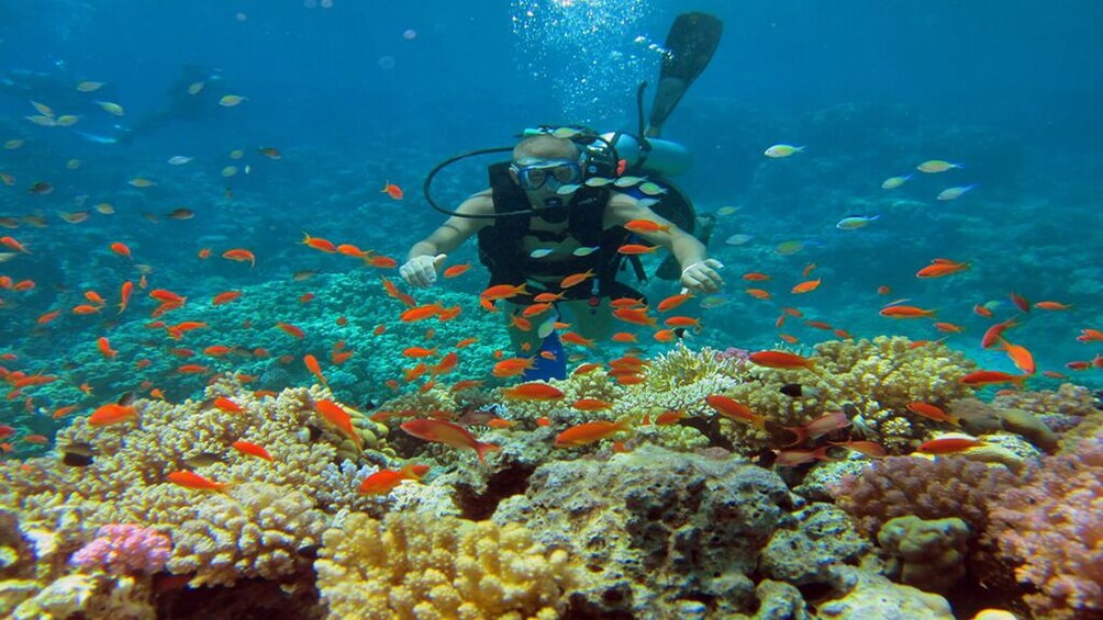  Private Diving Tour in Hurghada